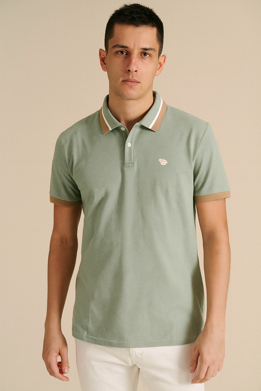 CAMISETA TIPO POLO