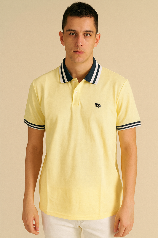 CAMISETA TIPO POLO